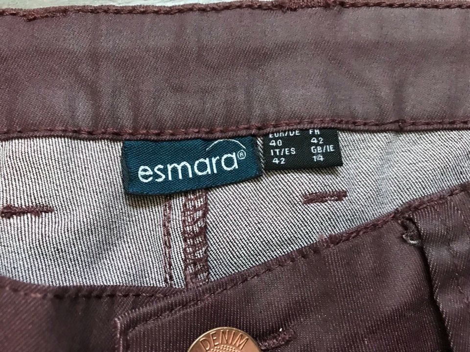 Esmara Damen Hose Gr 40 / L Bordeaux in Edewecht