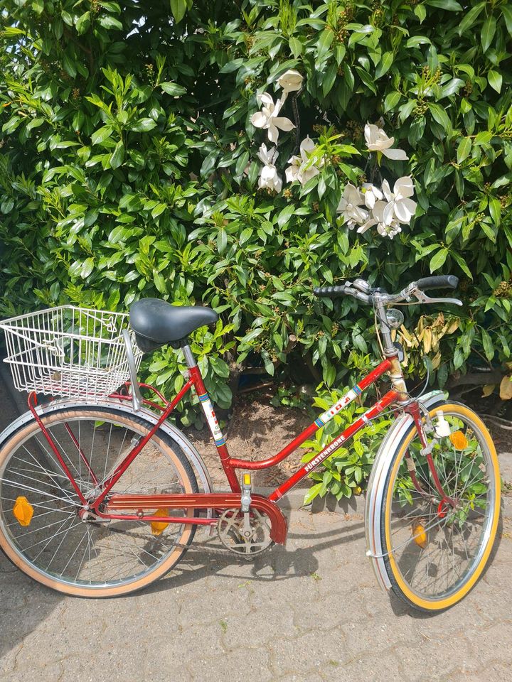 Retro Fahrrad 26 Zoll in Edingen-Neckarhausen