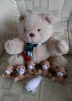 Teddy mit 5 kleinen Teddybären Nordrhein-Westfalen - Borgentreich Vorschau