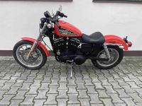 HARLEY DAVIDSON XL 883 R ANNIVERSARY SONDERMODELL Frankfurt am Main - Sachsenhausen Vorschau