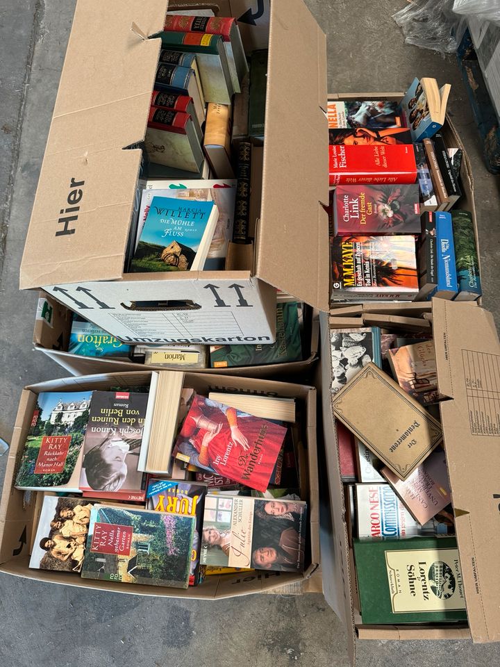6 Kartons mit alten Büchern in Kassel