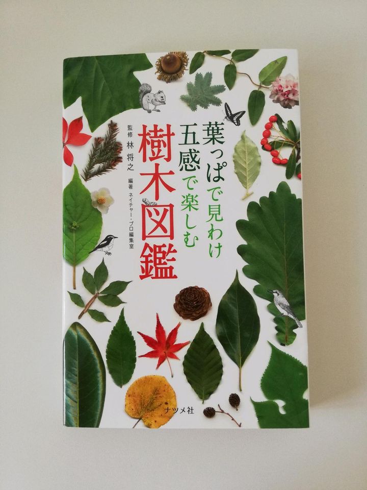 Bilderatlas Bäume Japans auf Japanisch Bestimmungsbuch in Leimen