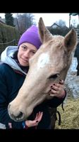 Vertrauen zum Pferd finden Bayern - Lamerdingen Vorschau