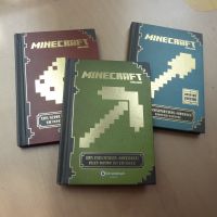3 Handbücher "Minecraft" zusammen 1 € Schleswig-Holstein - Wilster Vorschau