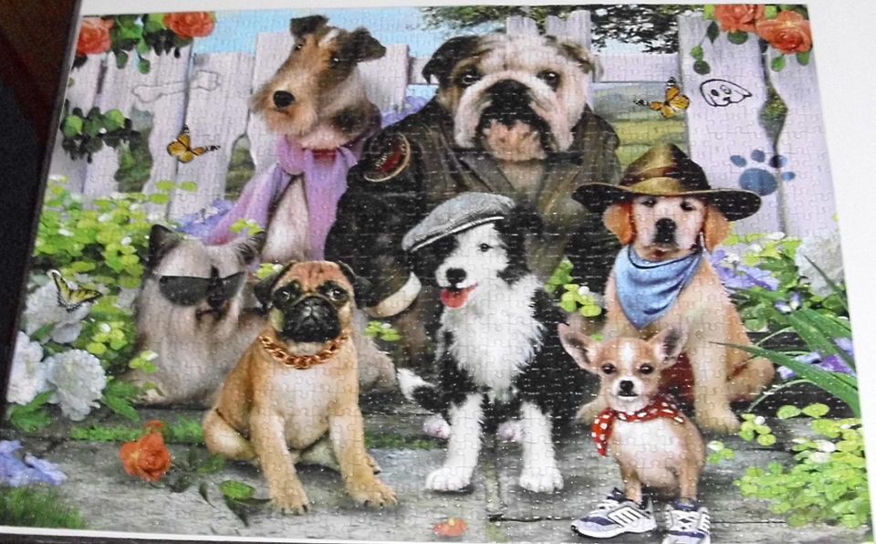 KING Puzzle - Animal Collection - Fashion Dogs - 1000 Teile in Wathlingen