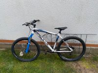 MTB Fahrrad Bulls Copperhead 3 Bayern - Sengenthal Vorschau