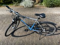 Pegasus Fahrrad 26" Bayern - Moosburg a.d. Isar Vorschau