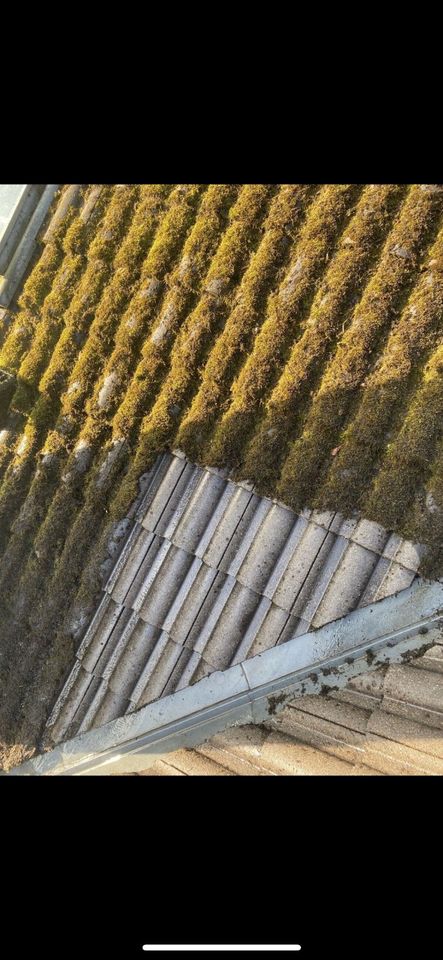 Dachreinigung / Fassadenreinigung / Terrassenreinigung in Berlin