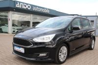 Ford Grand C-MAX 2.0 Business Edition Automatik Navi Thüringen - Nordhausen Vorschau