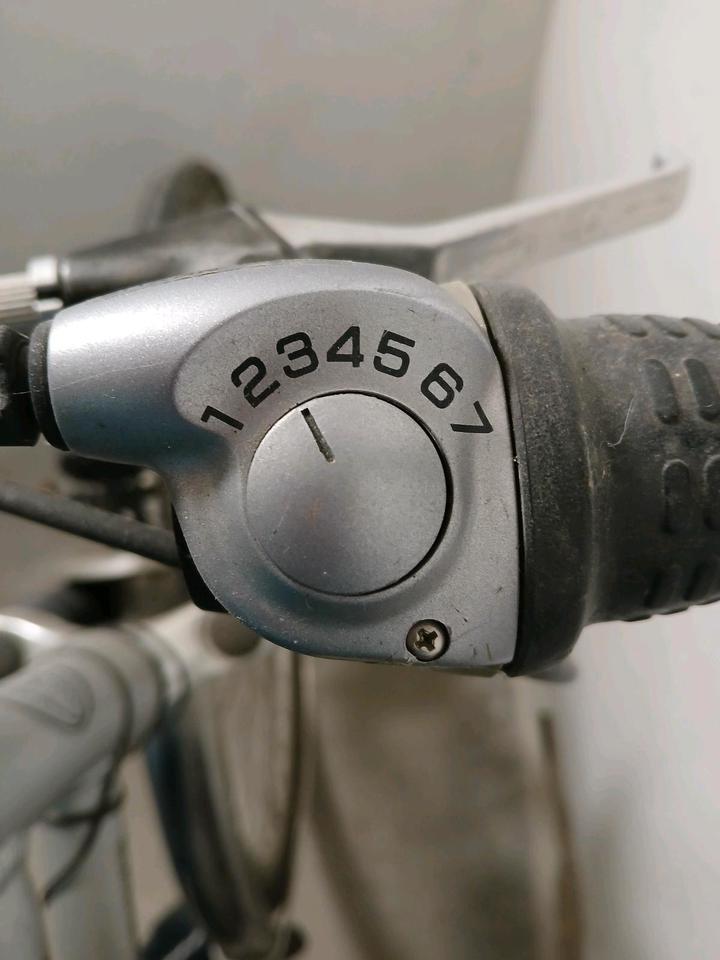 CYCO TK-LIFE DAMEN FAHRRAD 28 ZOLL MIT KINDERSITZ in Oftersheim