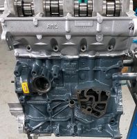 VW 1.9 TDI Motor überholt Mkb.ARL BUK 150 PS Kolben Neu Niedersachsen - Bleckede Vorschau
