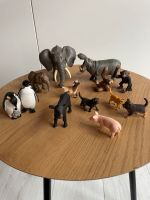 Schleich Tiere. Elefant Hund Pinguin Faultier Affe Katze Schwein Niedersachsen - Wunstorf Vorschau