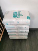 Pampers Premium Protection Gr. 3 340 Stück Nordrhein-Westfalen - Gevelsberg Vorschau