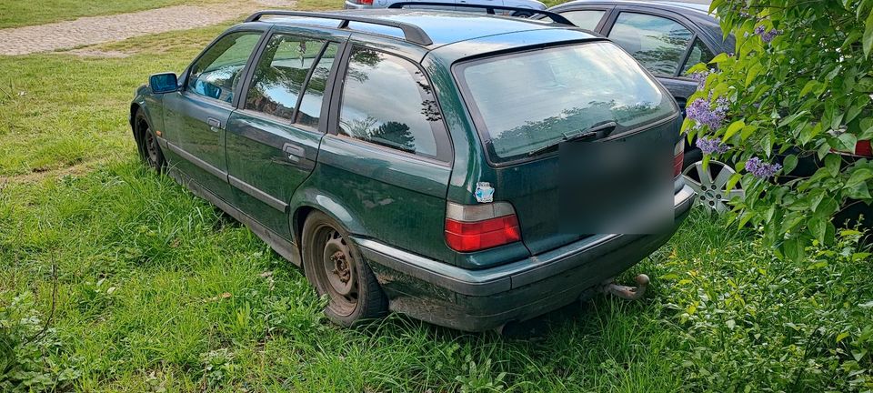 BMW E36 316i Touring in Boizenburg/Elbe