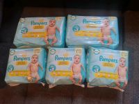 PAMPERS premium Wondeln gr.1  160 st Rheinland-Pfalz - Wissen Vorschau