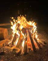Da Nachrichten weg nochmal : Brennholz, Holz, Feuer, Lagerfeuer Hessen - Hilders Vorschau