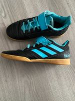 Adidas Predator, sehr gut, 36 2/3 Nordrhein-Westfalen - Höxter Vorschau