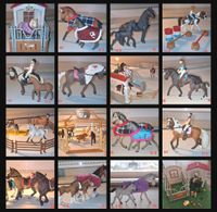 Schleich Sammlung Horse Club Niedersachsen - Brietlingen Vorschau