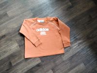 Adidas Sweatshirt Größe 110 Nordrhein-Westfalen - Hamm Vorschau