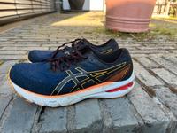 Asics GT 2000 10, Größe 42,5, guter gebrauchter Zustand Bayern - Rosenheim Vorschau