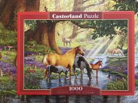 Premium Puzzle von Castorland- 1000 Teile Nürnberg (Mittelfr) - Aussenstadt-Sued Vorschau