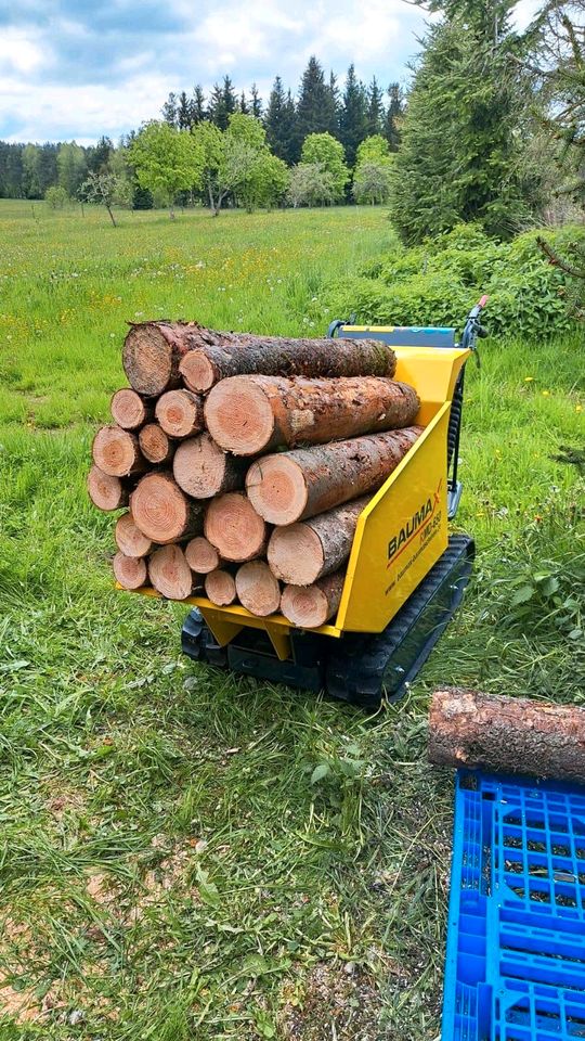 Raupendumper, Minidumper mieten in Friedenweiler