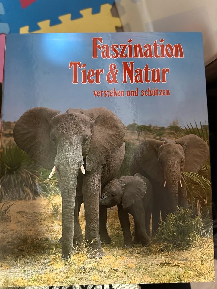 Bücherreihe Band 1-7 Faszination Tier & Natur in Plankstadt