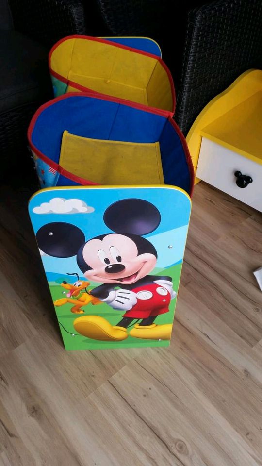 Mickey Mouse Regal in Borsdorf