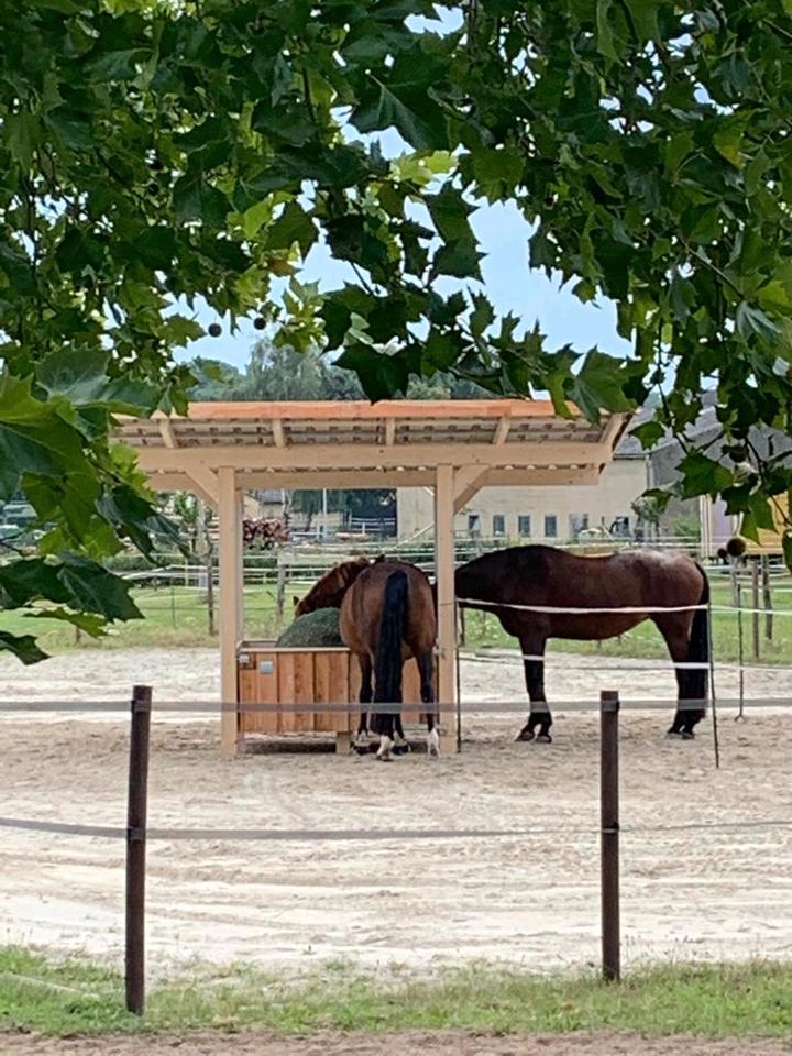 Heuraufe Futterraufe Weideraufe Lärche/Douglasie in Ankum