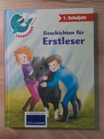 Leserobbe Geschichten (Pony, Pferdefreunde) für Erstleser, Bayern - Baiersdorf Vorschau