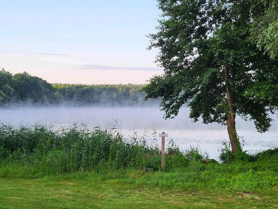 Ferienhaus am Wasser Sparpreis Lychen Uckermark See Wald Last Min in Lychen