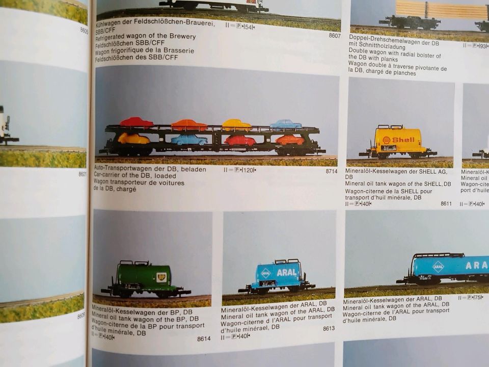 Modell-Eisenbahn TT N Z International Weltbild Verlag Buch in Buttstädt