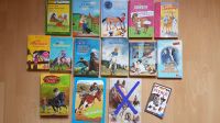7-10 Jahre: Großes Bücherpaket Mädchen und Pferde Nordrhein-Westfalen - Kalletal Vorschau