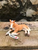 Schleich Tierfigur Haflinger Fohlen mit Fahne/Fähnchen Nordrhein-Westfalen - Hagen Vorschau