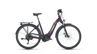 Victoria Tresalo 6 Wave E-Trekking, Ebike RH 44 Modell 2024 Bayern - Bad Grönenbach Vorschau