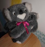 Olympia Sydney 2000 Koala H=24cm (Maskottchen) Rheinland-Pfalz - Herrstein Vorschau