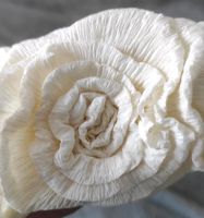 Papier Krepp Rosen Kommunion Hochzeit Taufe Weiß rosa Nordrhein-Westfalen - Euskirchen Vorschau