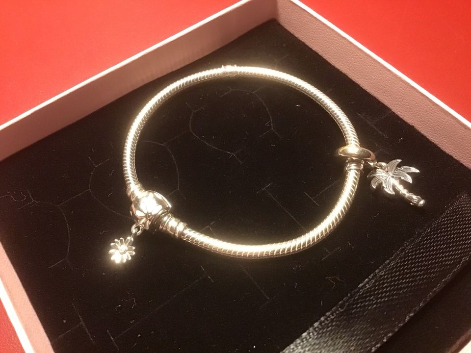 Pandora Armband verspieltes Gänseblümchen 16 cm in Lüdenscheid