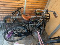 Gazelle Heavy Duty Lastenrad 59cm 28Zoll Nürnberg (Mittelfr) - Oststadt Vorschau