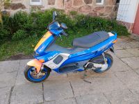 Gilera Runner C14 50ccm 2 Takt Thüringen - Steinbach-Hallenberg (Thüringer W) Vorschau