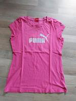 Puma T-Shirt Gr. 38 pink Bayern - Eckersdorf Vorschau