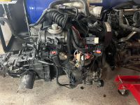 VW Passat 1.9 TDi Motor Getriebe auch getrennt Niedersachsen - Wischhafen Vorschau