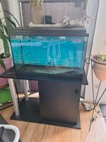 Aquarium 160 l mit unterschrank Nordrhein-Westfalen - Simmerath Vorschau