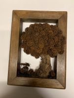 Wandbild -  Rahmen mit Baum aus Naturmaterialien Hessen - Mainhausen Vorschau