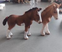 Schleich Clydesdale Fohlen Pferd Nordrhein-Westfalen - Schleiden Vorschau