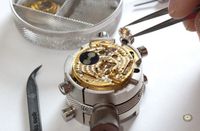 Uhren Revison vom Uhrmachermeister Rolex Omega usw Hessen - Langenselbold Vorschau