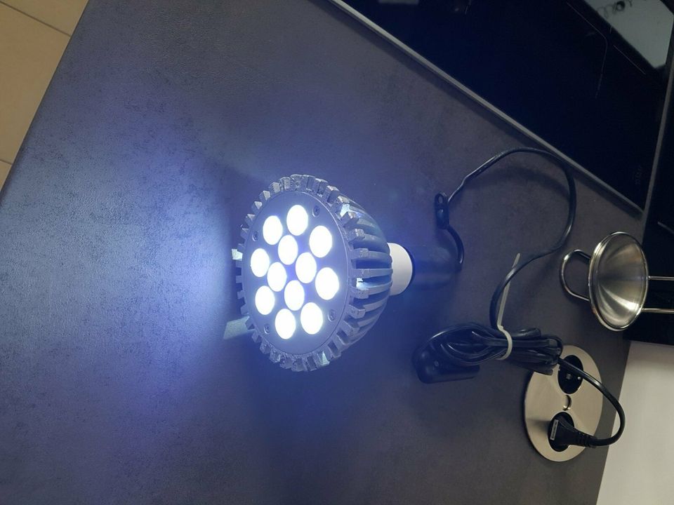 LED Lampe für Meerwasseraquarium, Technikbecken in Gießen