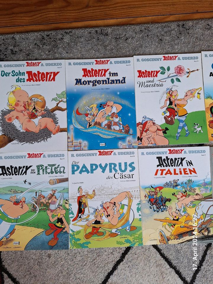13 Asterixbücher in St. Wendel