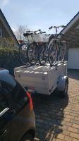 Anhänger Urlaubsanhänger Dachzelt Fahrradträger ebike mieten Niedersachsen - Dörpen Vorschau