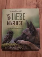 Wo die Liebe hinfliegt Buch Niedersachsen - Seelze Vorschau